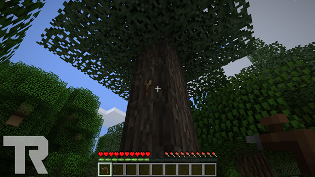 Новый вид дерева