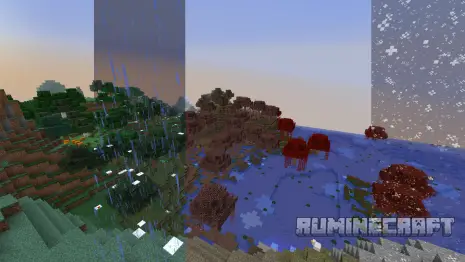 Разнообразие времен года