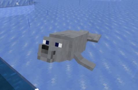 Морской котик