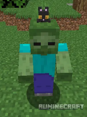 Чёрный котёнок