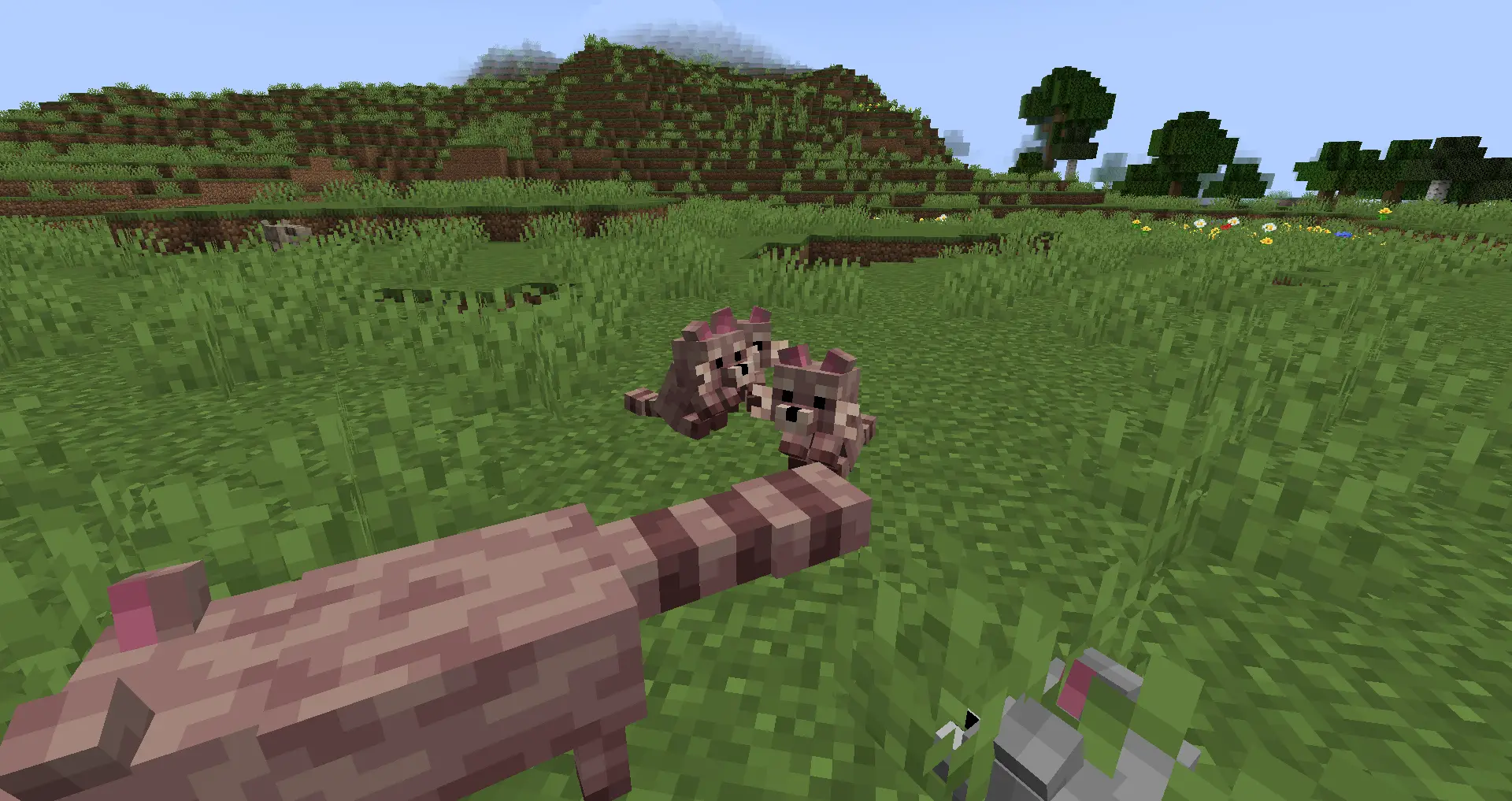 Tameable beasts 1.20 1. Beasts Minecraft. Wyrmroost 1.16.5 как посадить дракона.