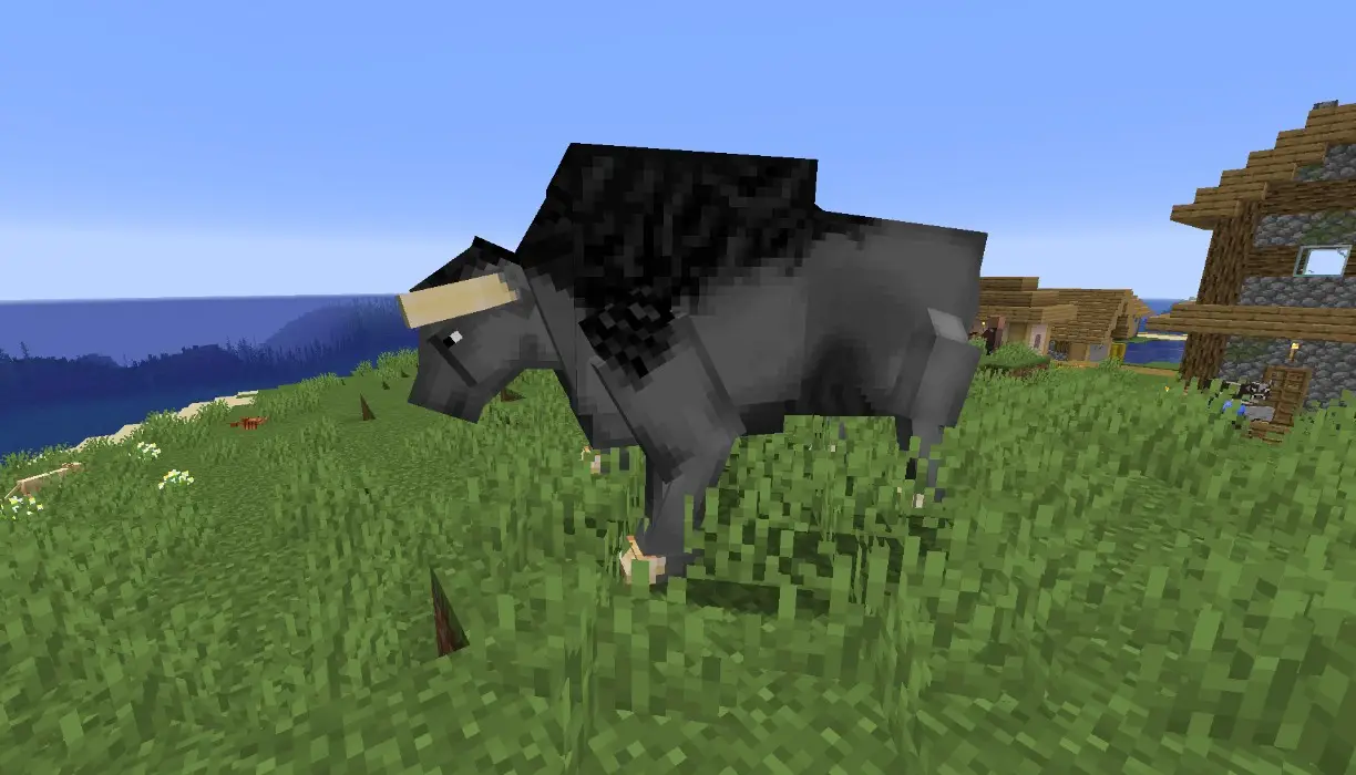 Серый буйвол