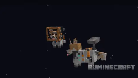 Корги в космосе