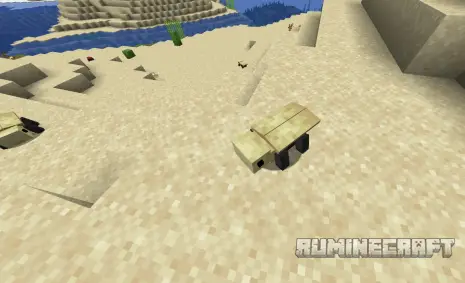 Песчаный жук