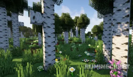 Березовый лес