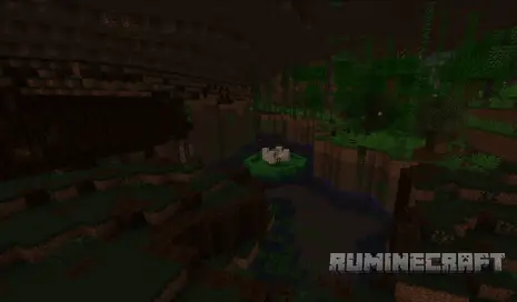 Большие лилии