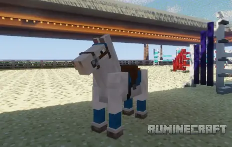 Новое седло