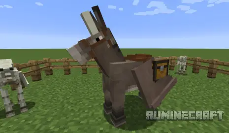 Крылатый осел