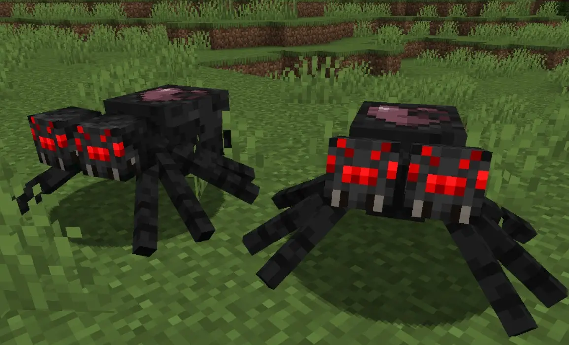 Двухголовый паук