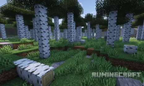 Упавшее дерево