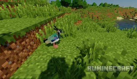 Новая птица