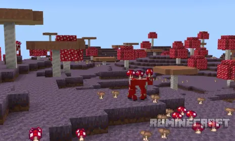 Грибной биом