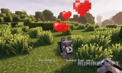 Приручение