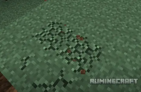 Новая анимация с модом KleeSlabs