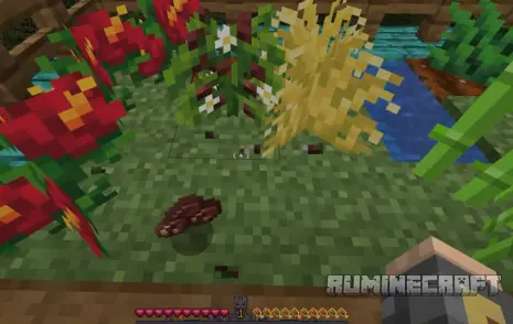 Зерна кофе из мода HerbalBrews