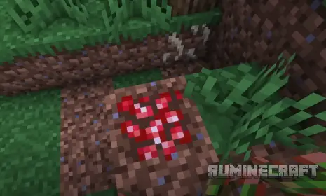 Бобы из мода Abnormals Delight