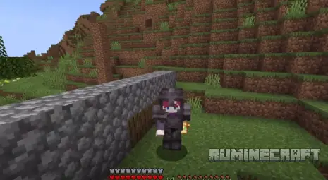 Новый вид анимации из мода Animation Overhaul