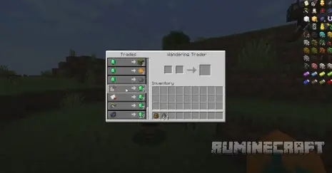 Меню торговца с модом Majruszs Accessories