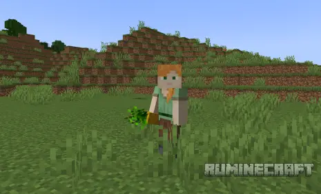 Ананас из мода Pineapple Delight