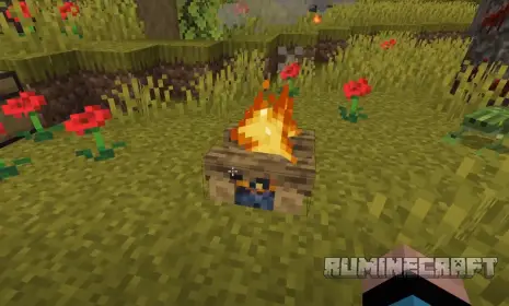 Костер из мода Bewitchment