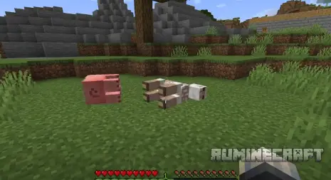 Новая механика животных после смерти из мода Butchers Delight Foods