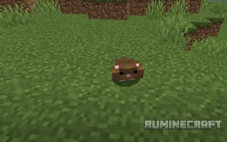 Хомяк из мода Hamsters Plus