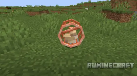 Колесо для хомяка из мода Hamsters Plus