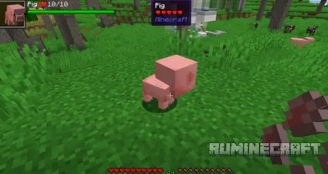 Свинья, выращенная из семян, из мода Animal Crops