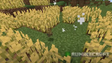 Лут с пугала из мода Legendary Creatures