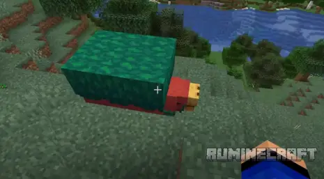 Нюхач из мода What Are You Voting For