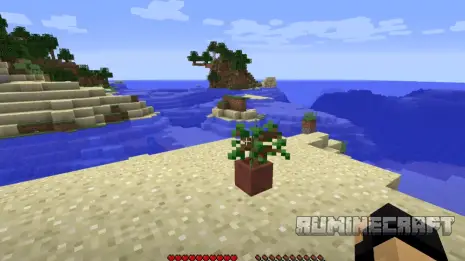 Посаженное растение с модом Bonsai Trees 3