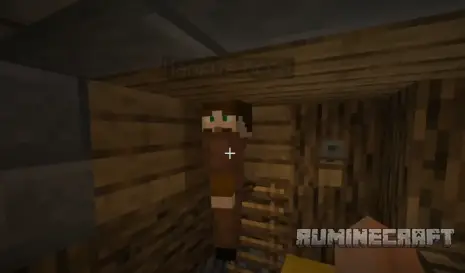 Моб из мода Human Companions