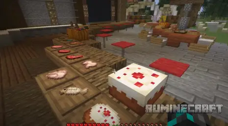 Мясо из мода Chefs Delight