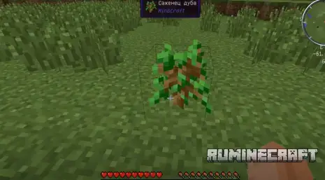 Саженец дуба с модом Tree Growing Simulator