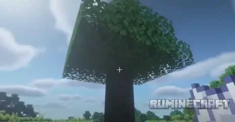 Выращенное каучуковое дерево из мода Myrtrees