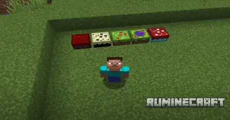 Торты из мода TelePastries