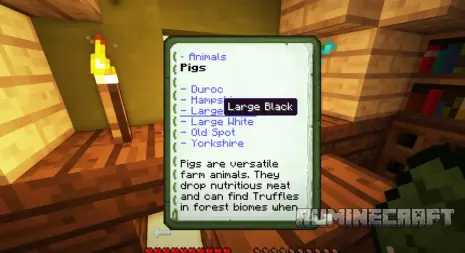 Новая книга из мода Animania