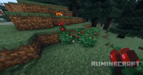 Процесс сбора ягод из мода Berry Good