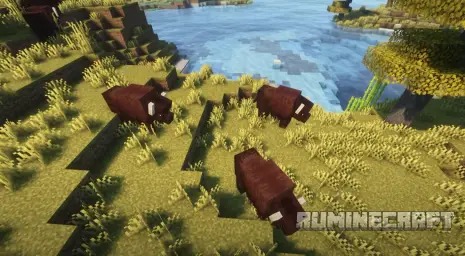 Зубры из мода WilderNature